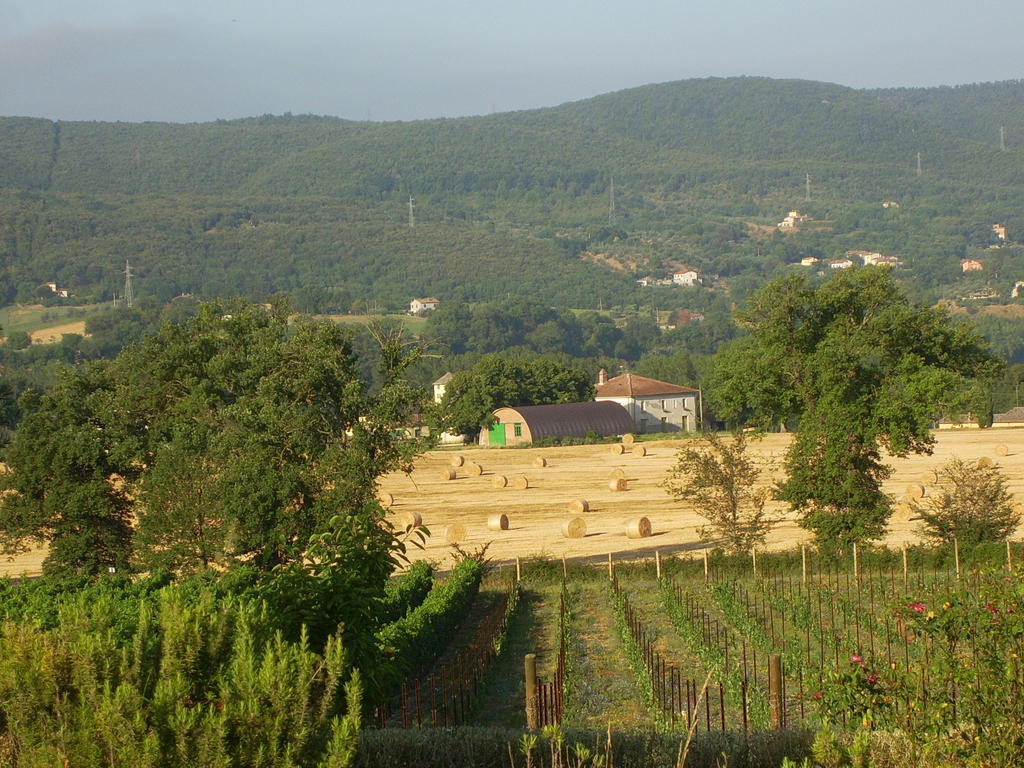 Agriturismo Regno Verde Narni Exterior photo
