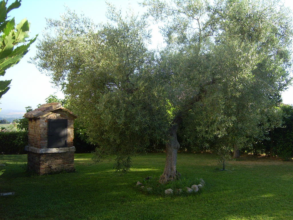 Agriturismo Regno Verde Narni Exterior photo