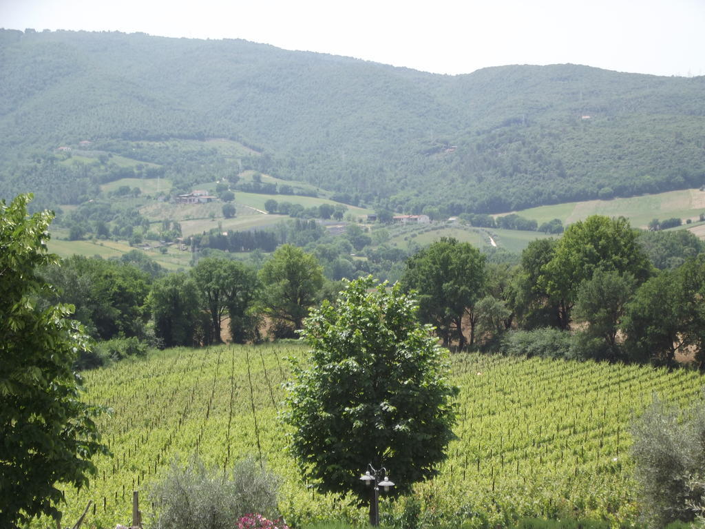 Agriturismo Regno Verde Narni Exterior photo